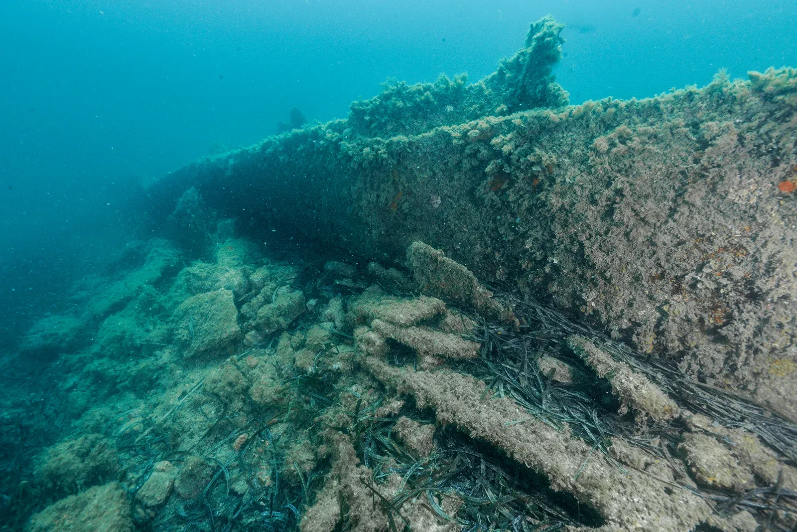 Diving Gelibolu