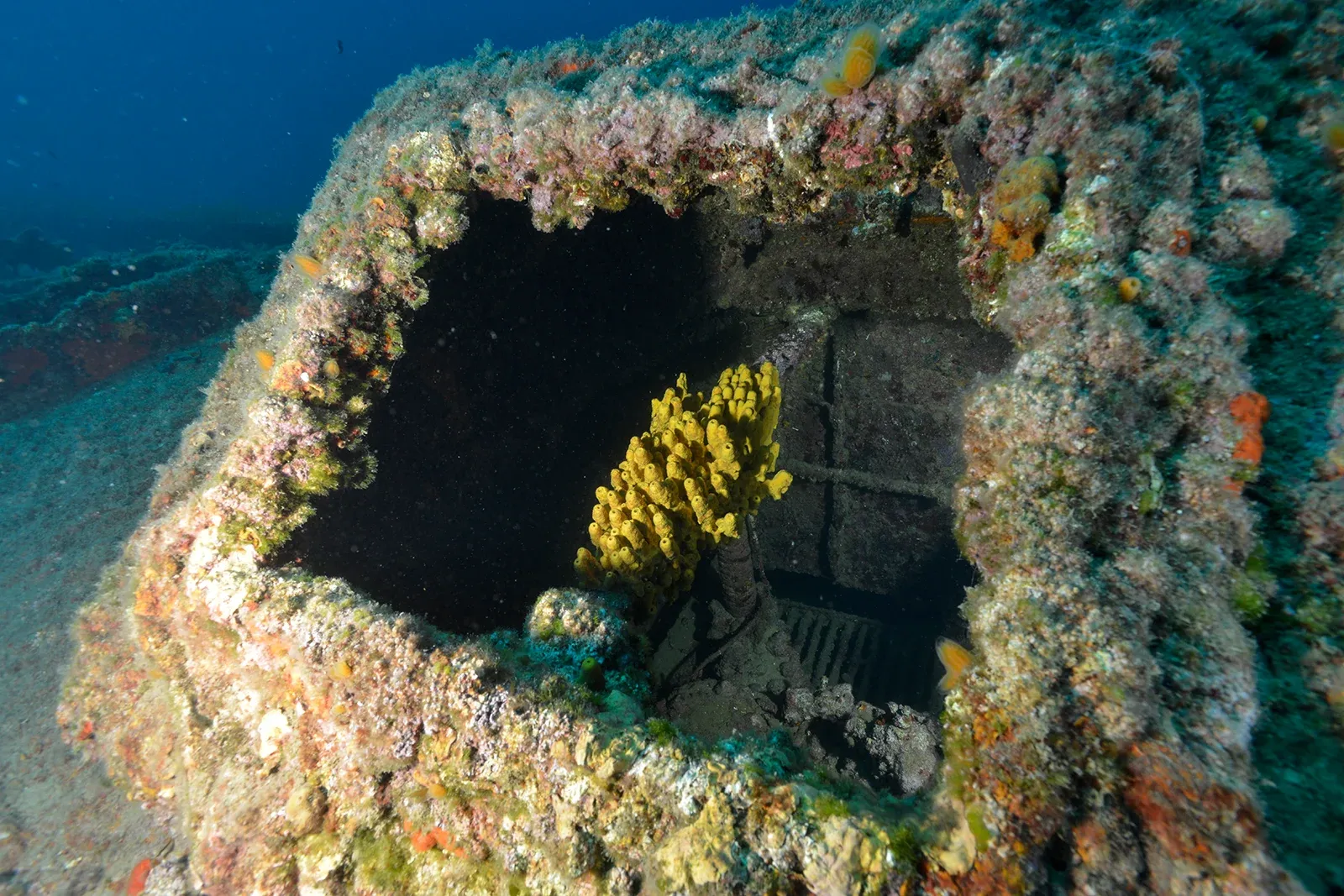 Diving Gelibolu