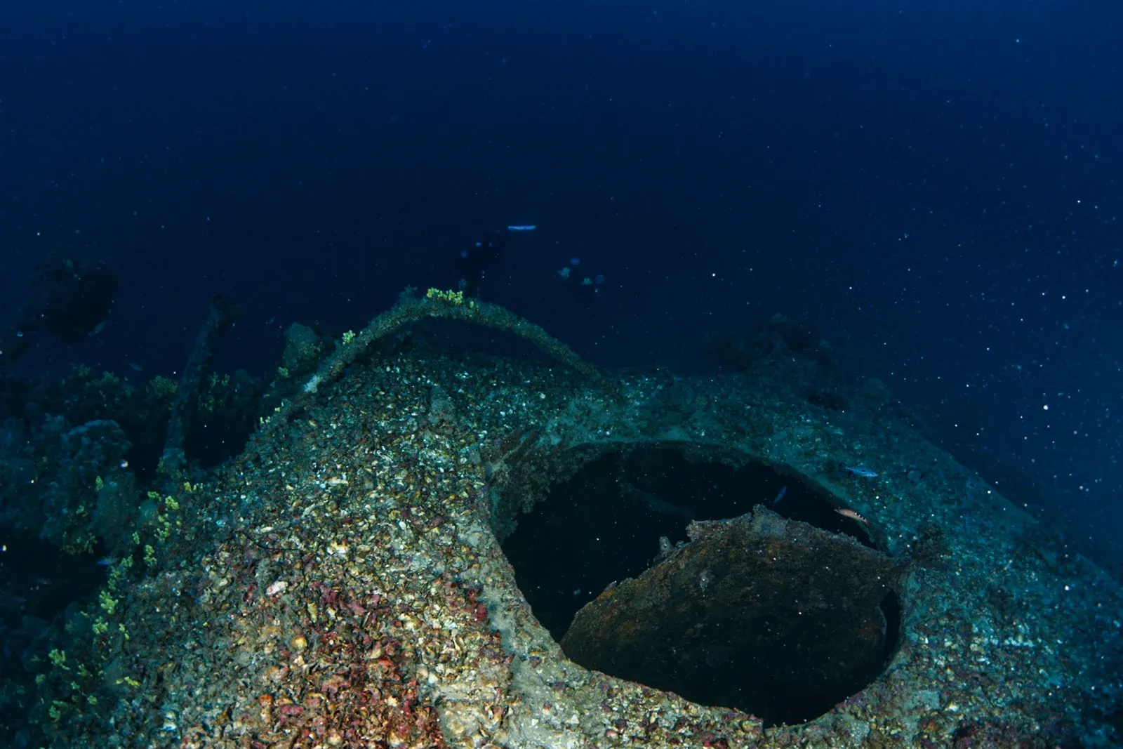 Diving Gelibolu