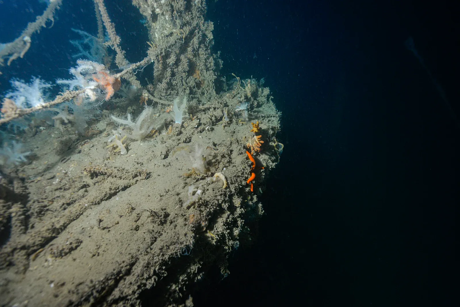 Diving Gelibolu