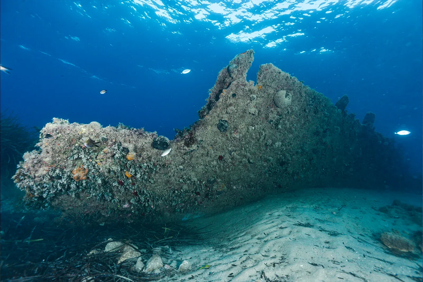 Diving Gelibolu