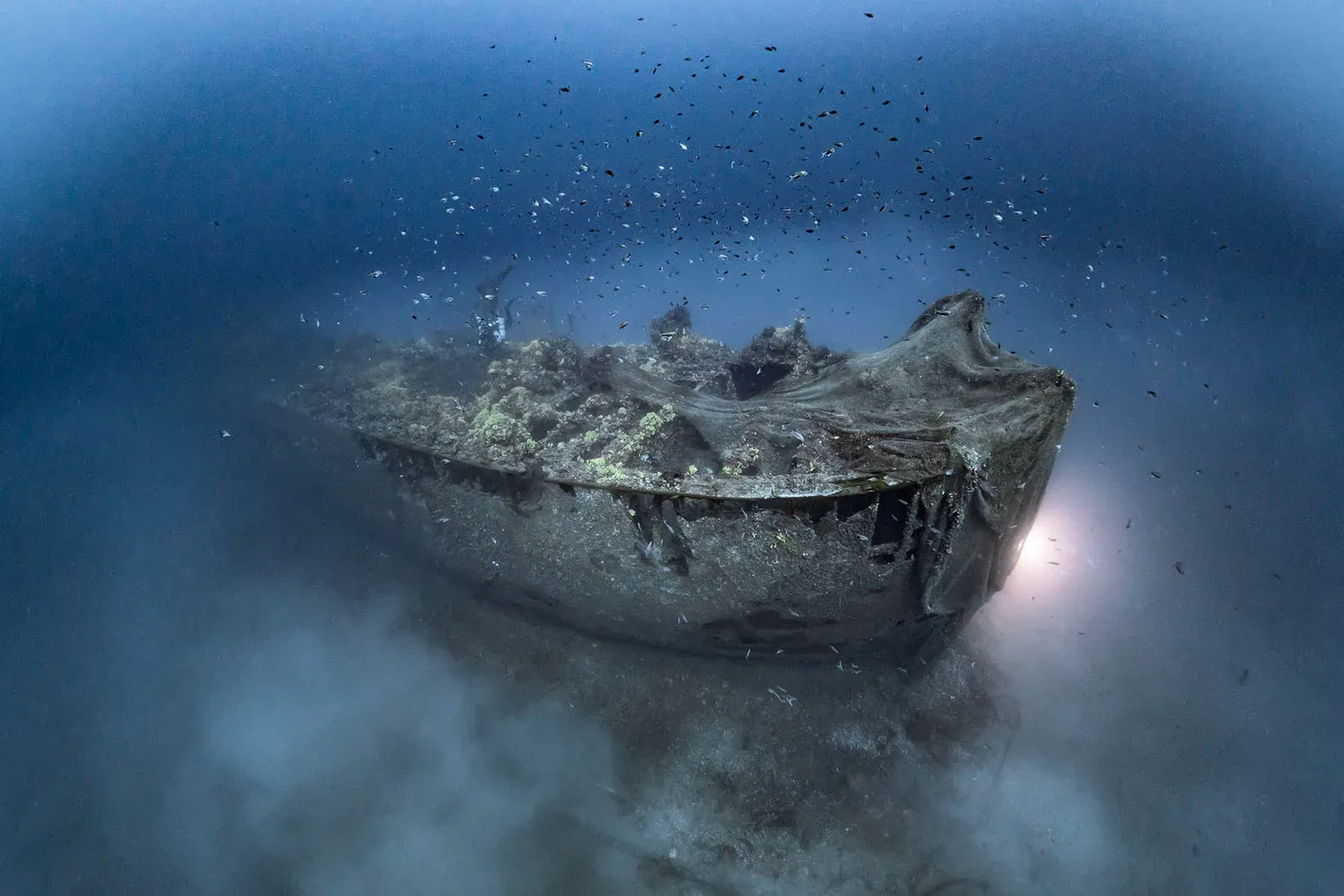 Diving Gelibolu