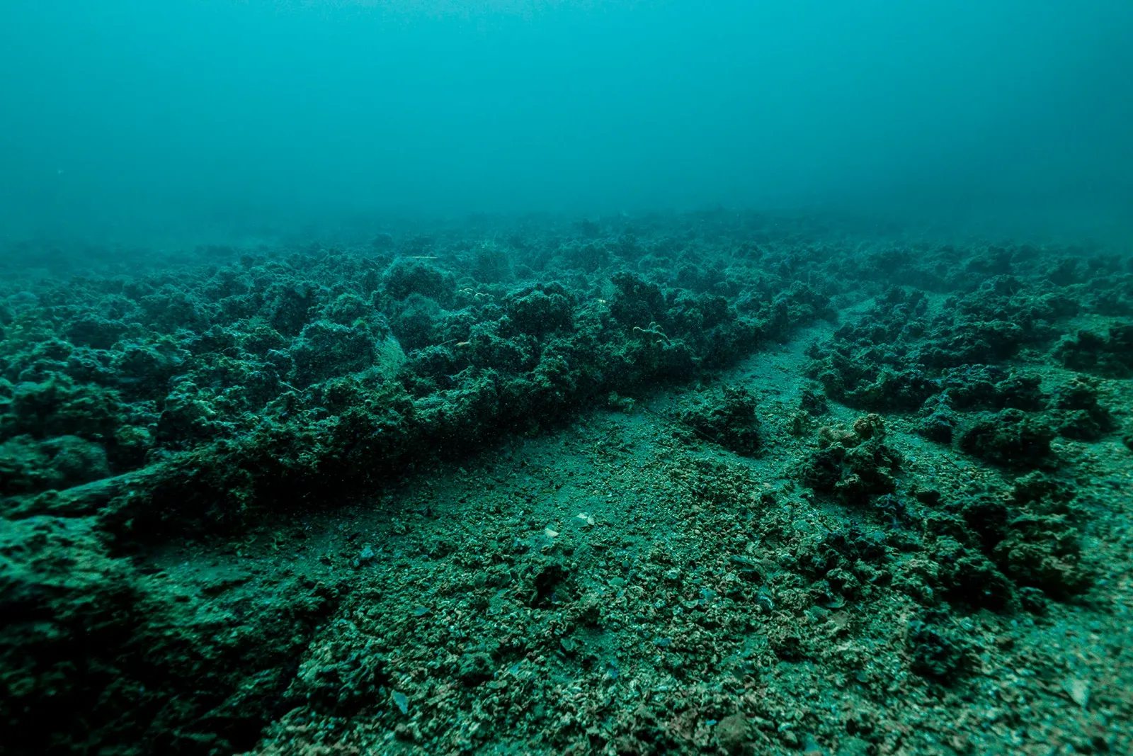 Diving Gelibolu