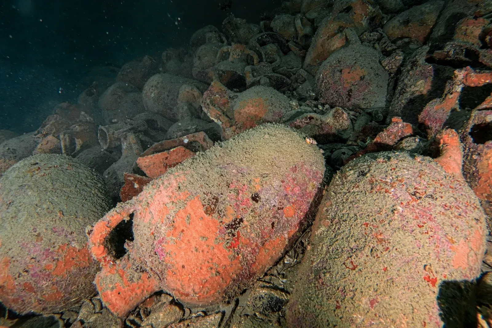 Diving Gelibolu