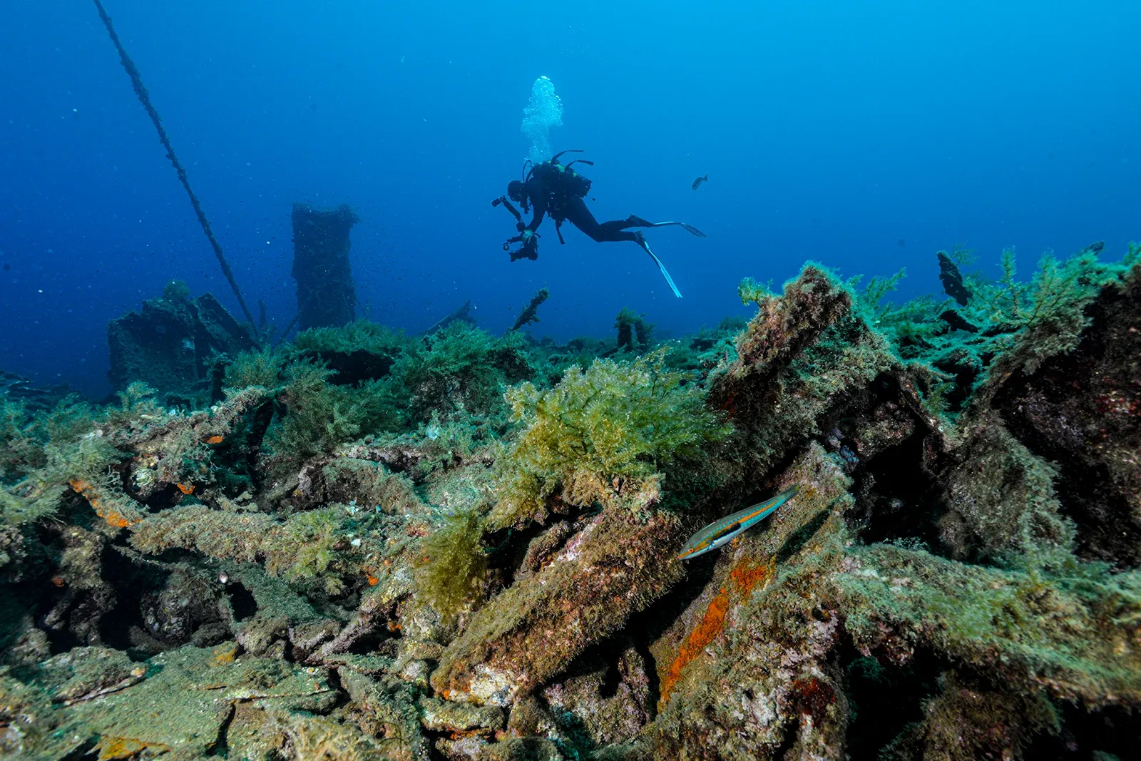 Diving Gelibolu
