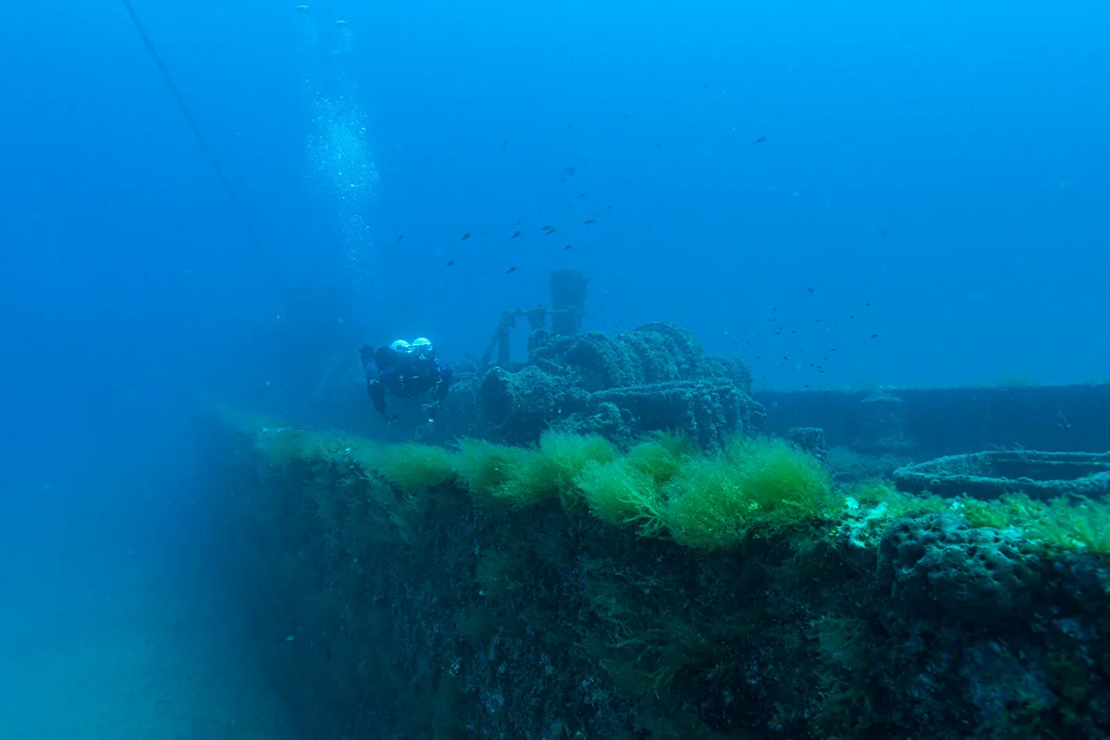 Diving Gelibolu