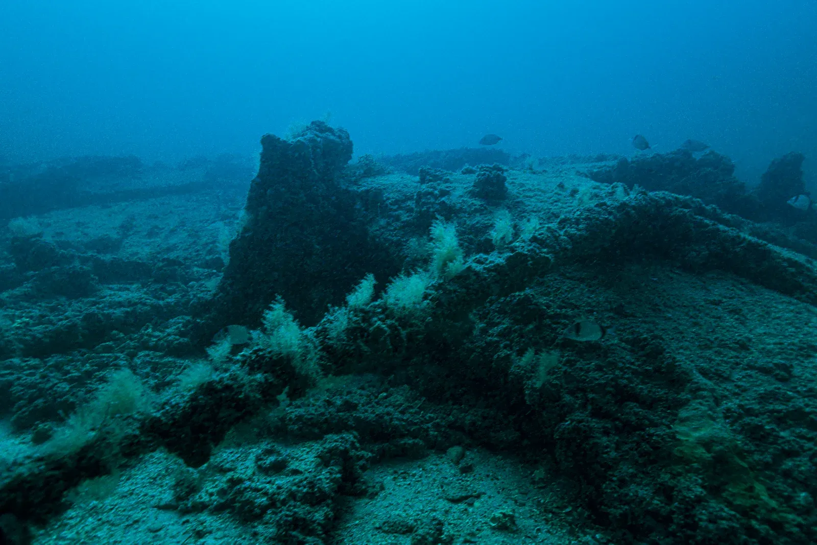 Diving Gelibolu