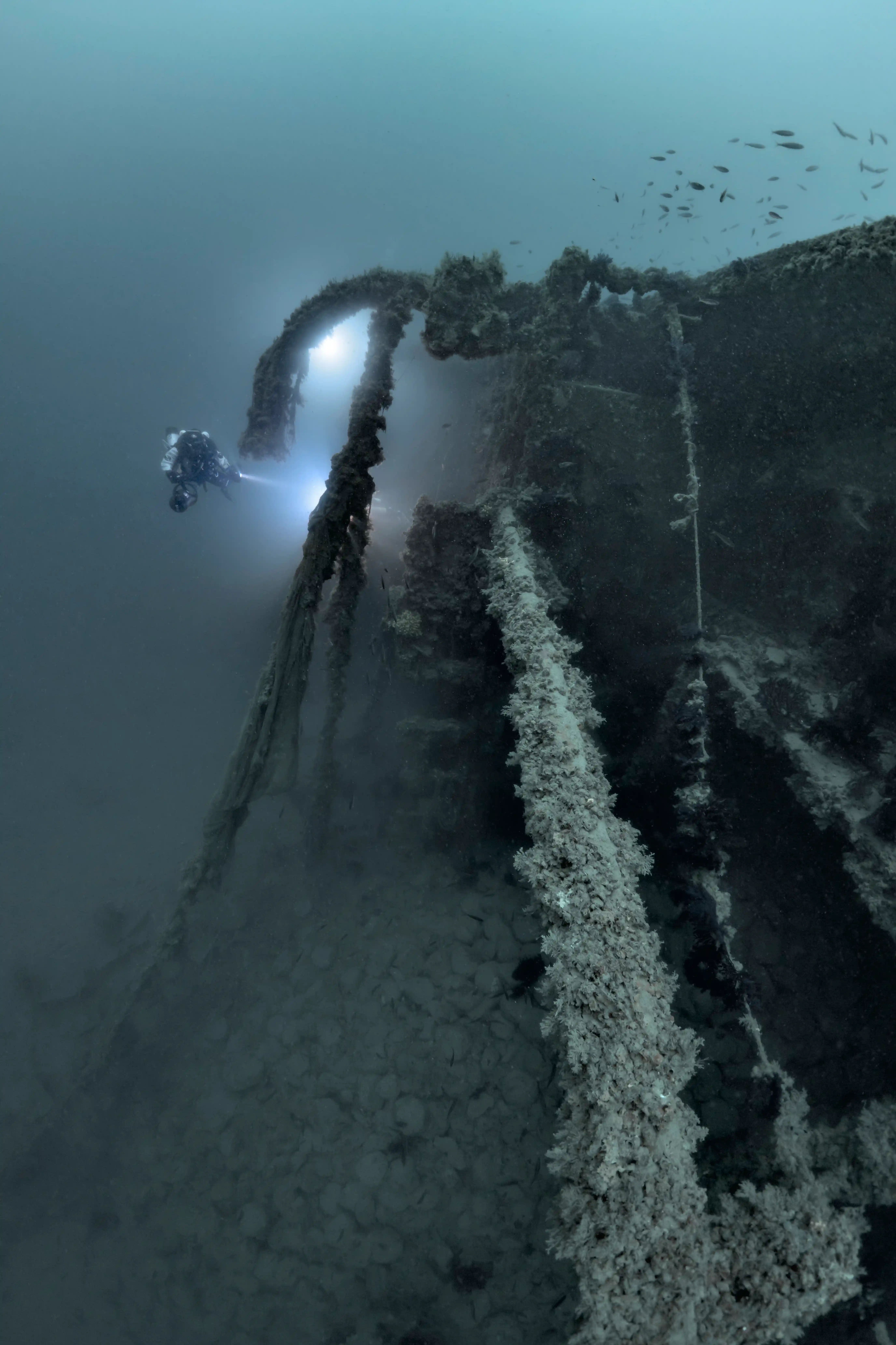 Diving Gelibolu