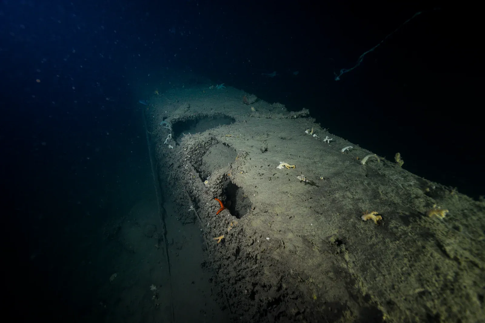 Diving Gelibolu