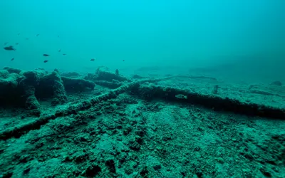 Submarine Mania Network