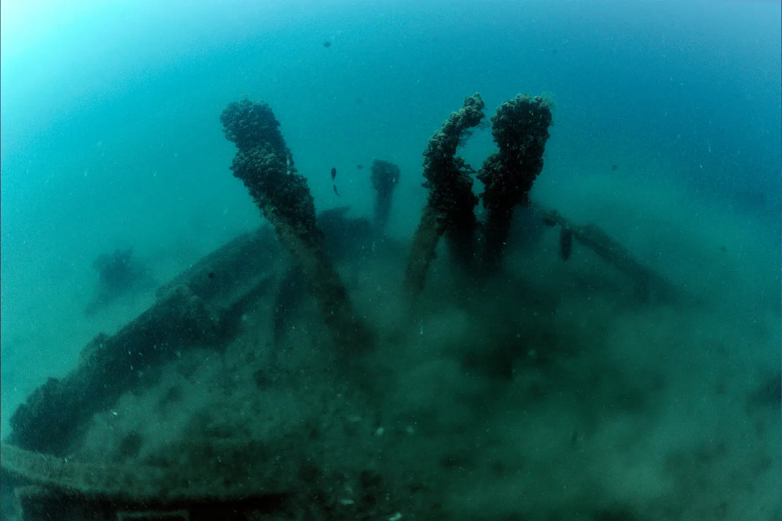 Diving Gelibolu