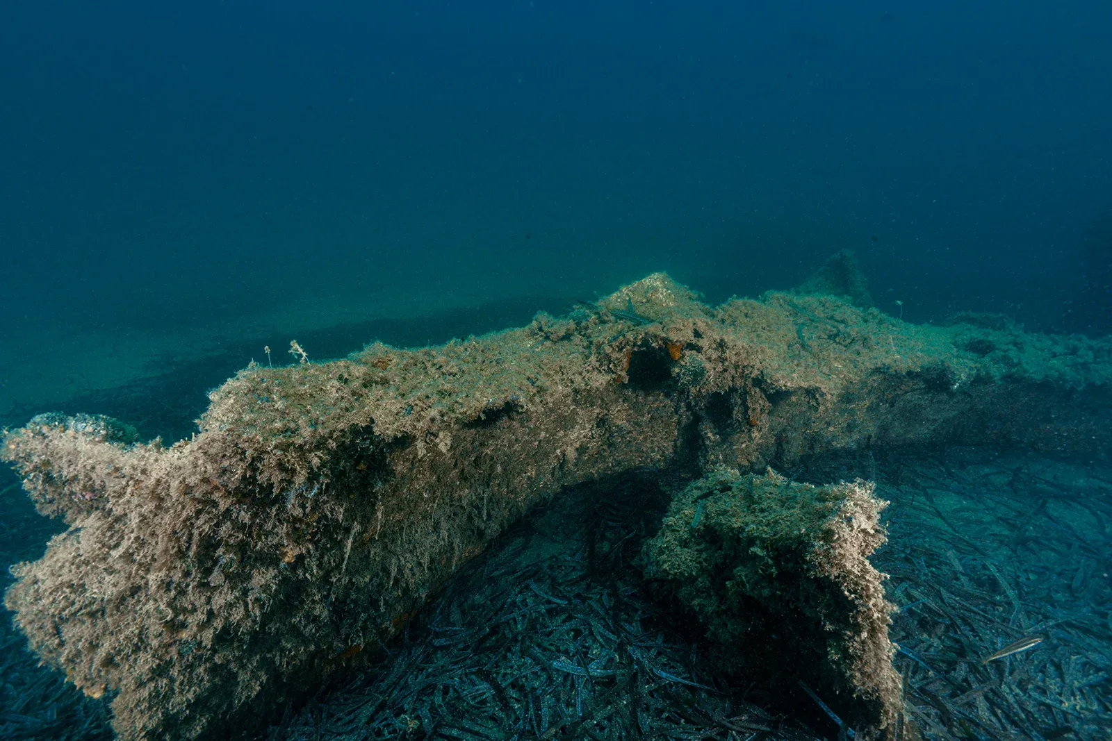 Diving Gelibolu