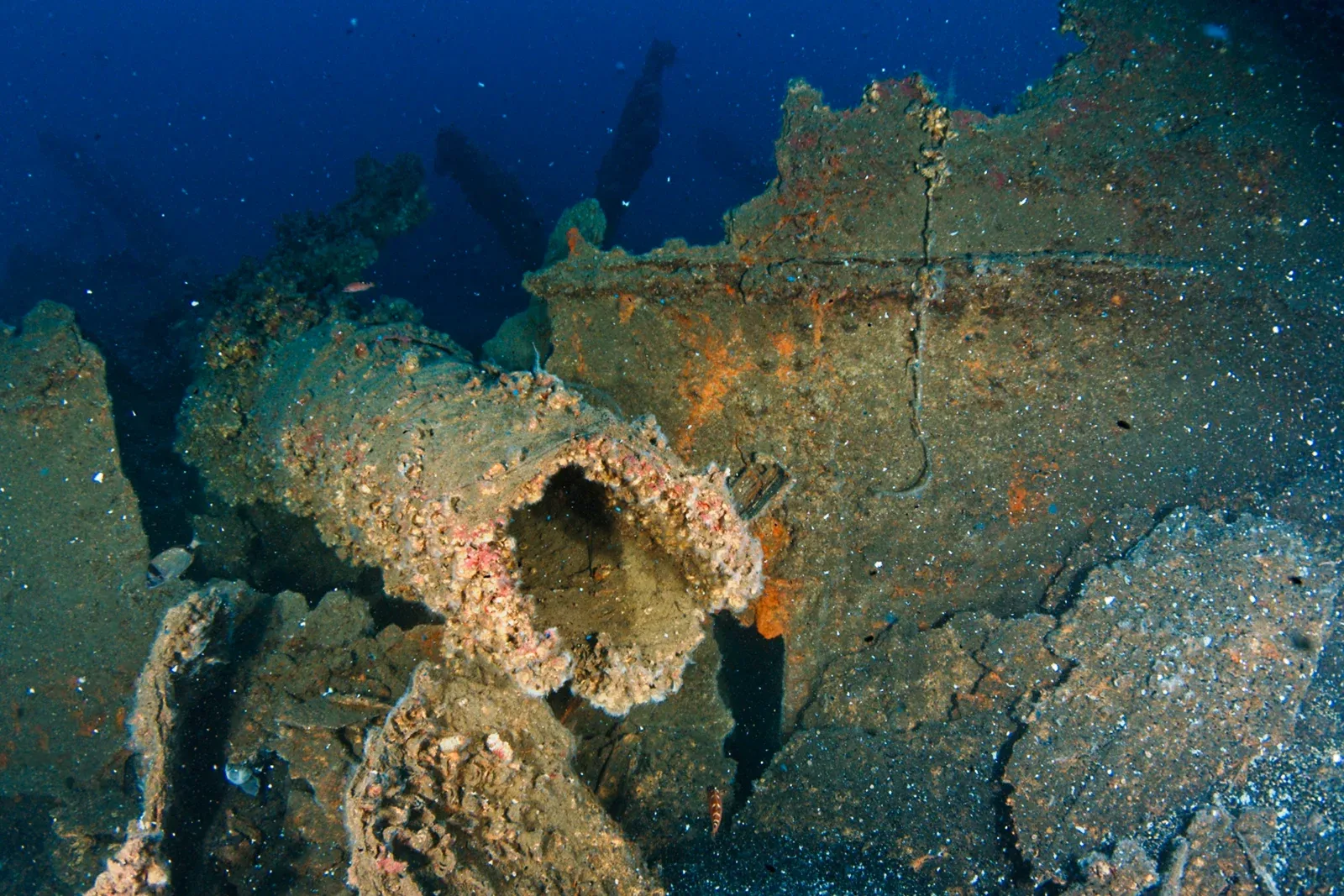 Diving Gelibolu