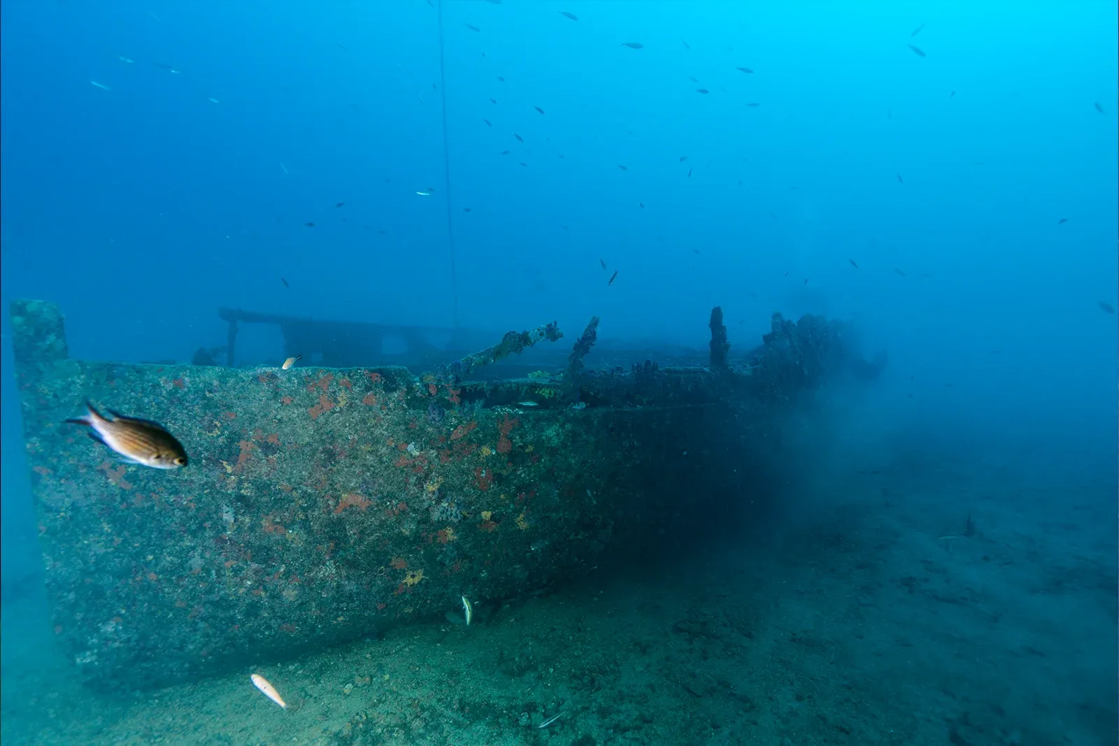Diving Gelibolu
