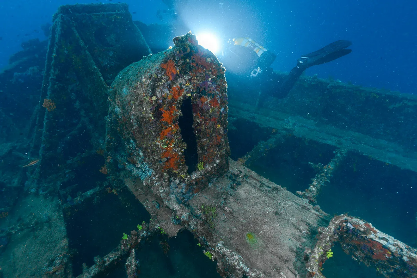 Diving Gelibolu