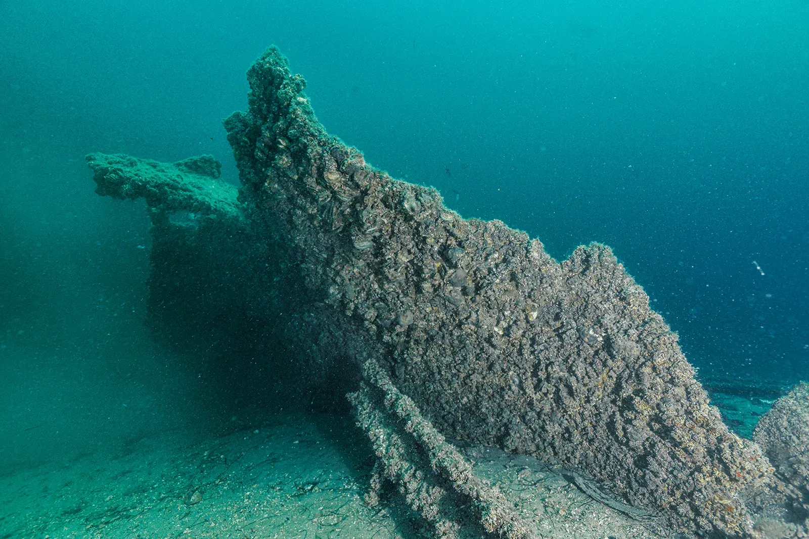 Diving Gelibolu