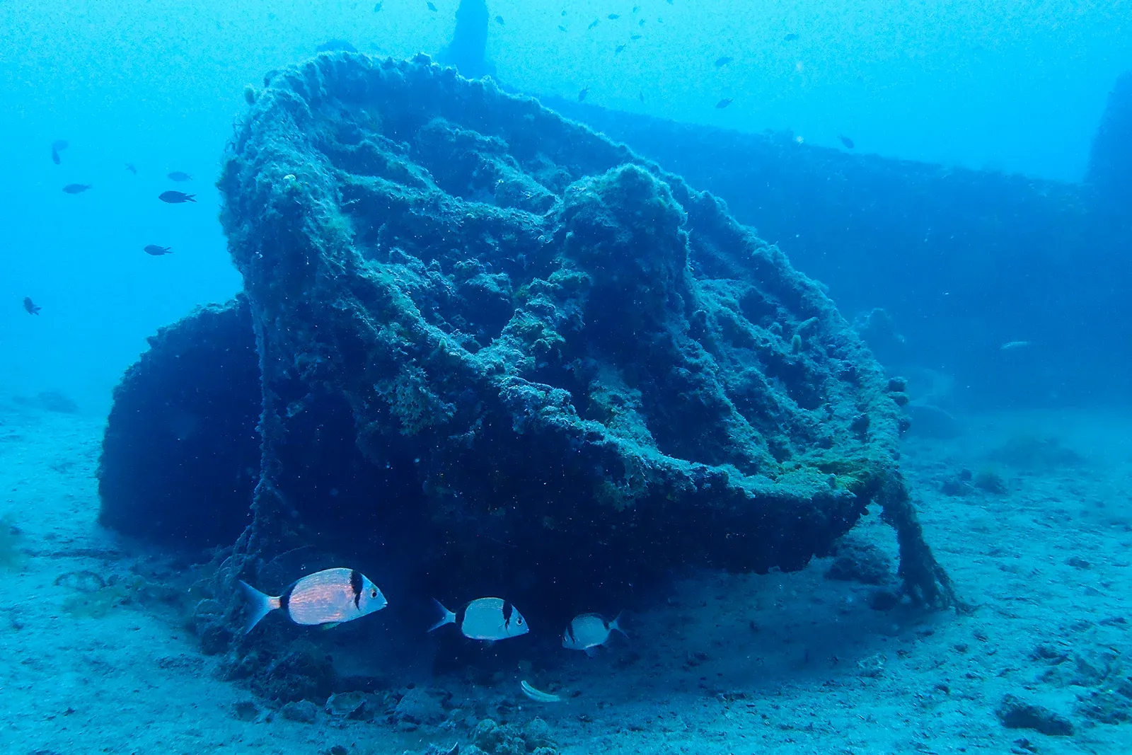 Diving Gelibolu